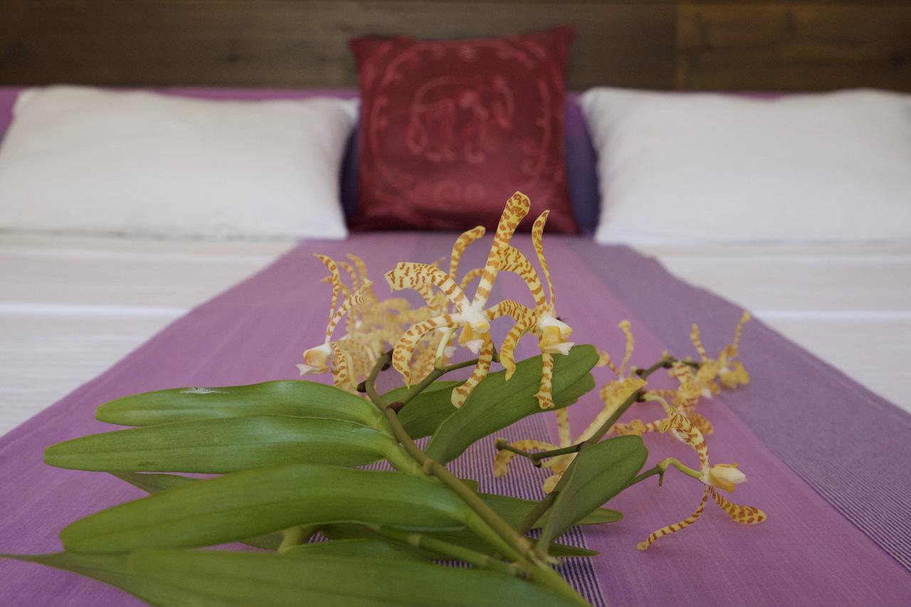 Sanda Eliya Resort เบนโตตา ภายนอก รูปภาพ